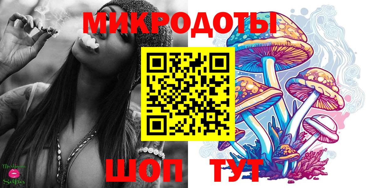 Галлюциногенные грибы Cubensis Богданович